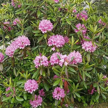 아파트 Talo Porokylae -