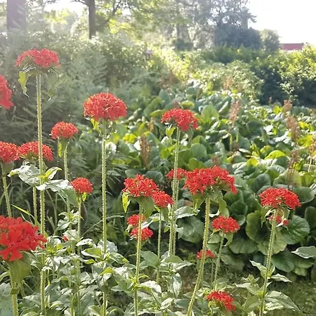 아파트 Talo Porokylae - *