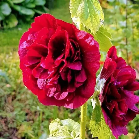 Talo Porokylae - 아파트