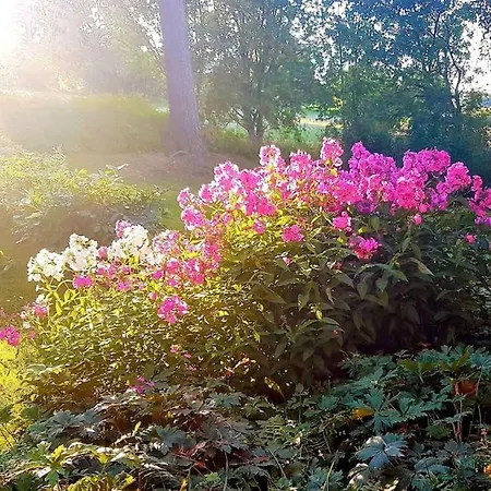 Talo Porokylae - 아파트