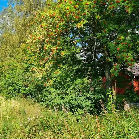 아파트 Talo Porokylae - *