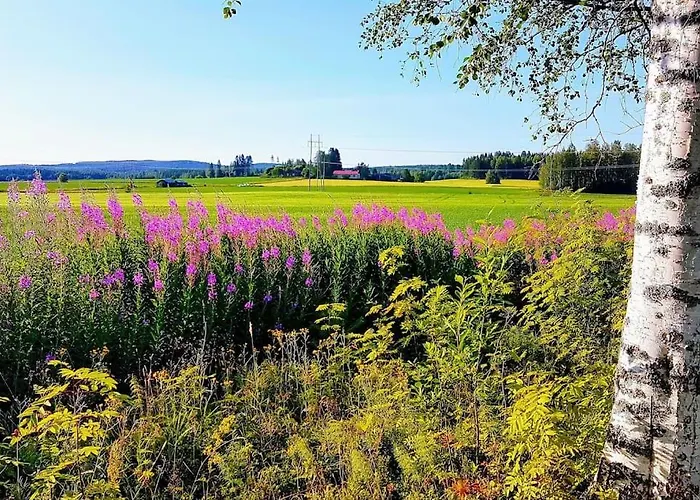 Apartman Talo - Porokylae Nurmes