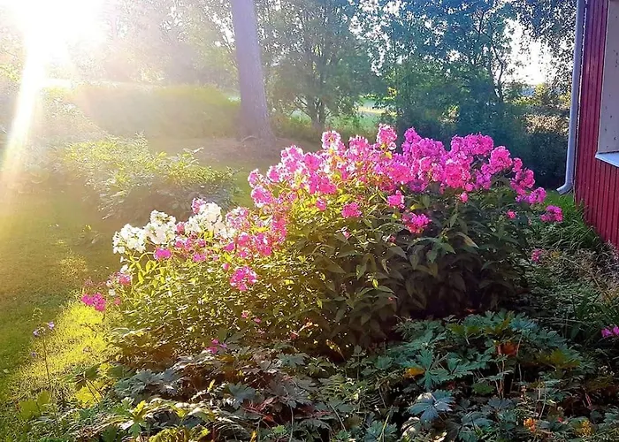 Talo - Porokylae Apartman